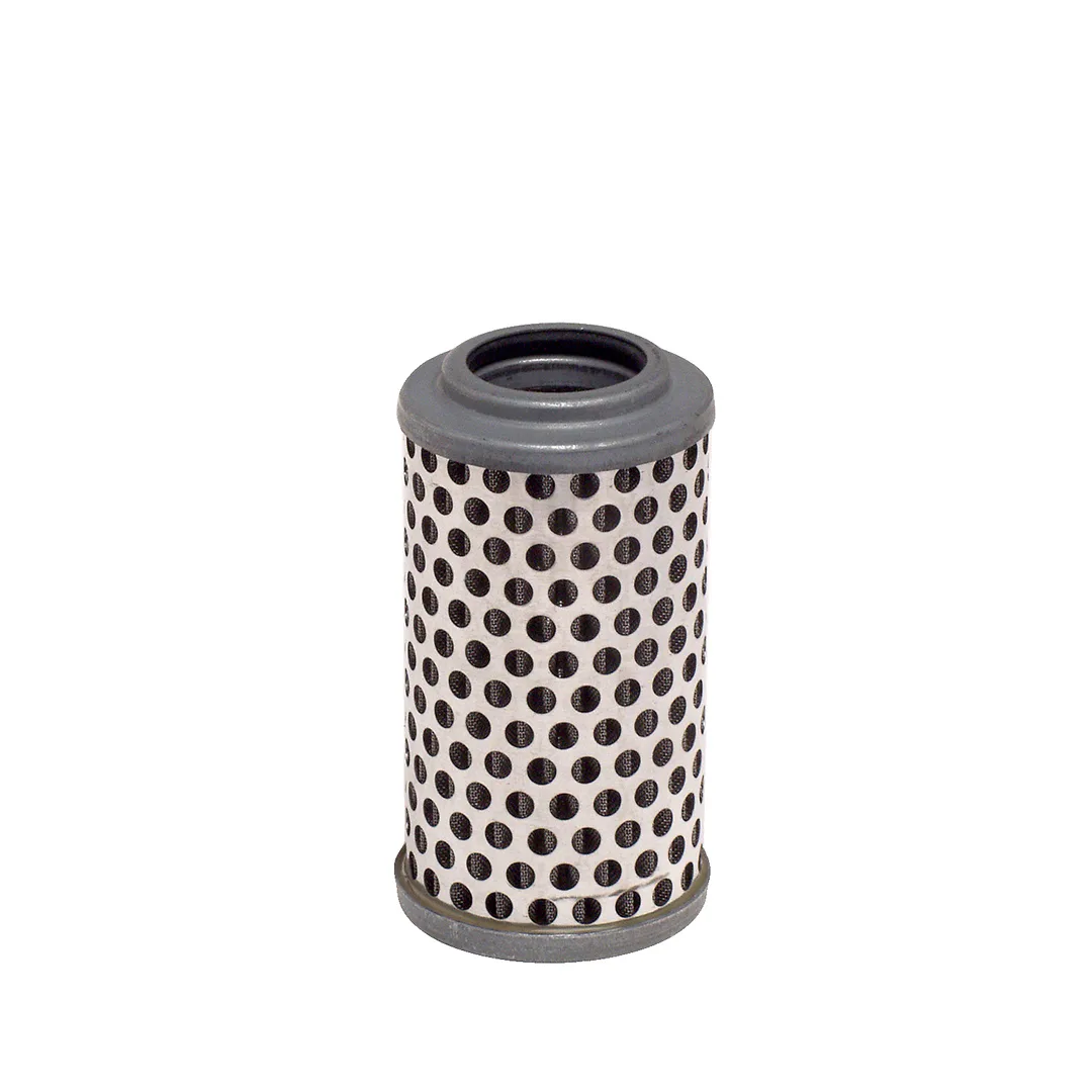 E23SF03D65 Hengst