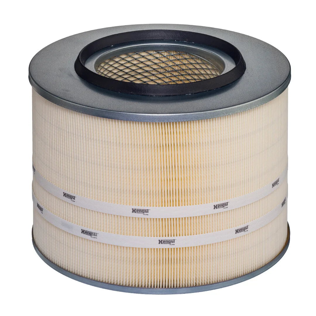 E273L Hengst
