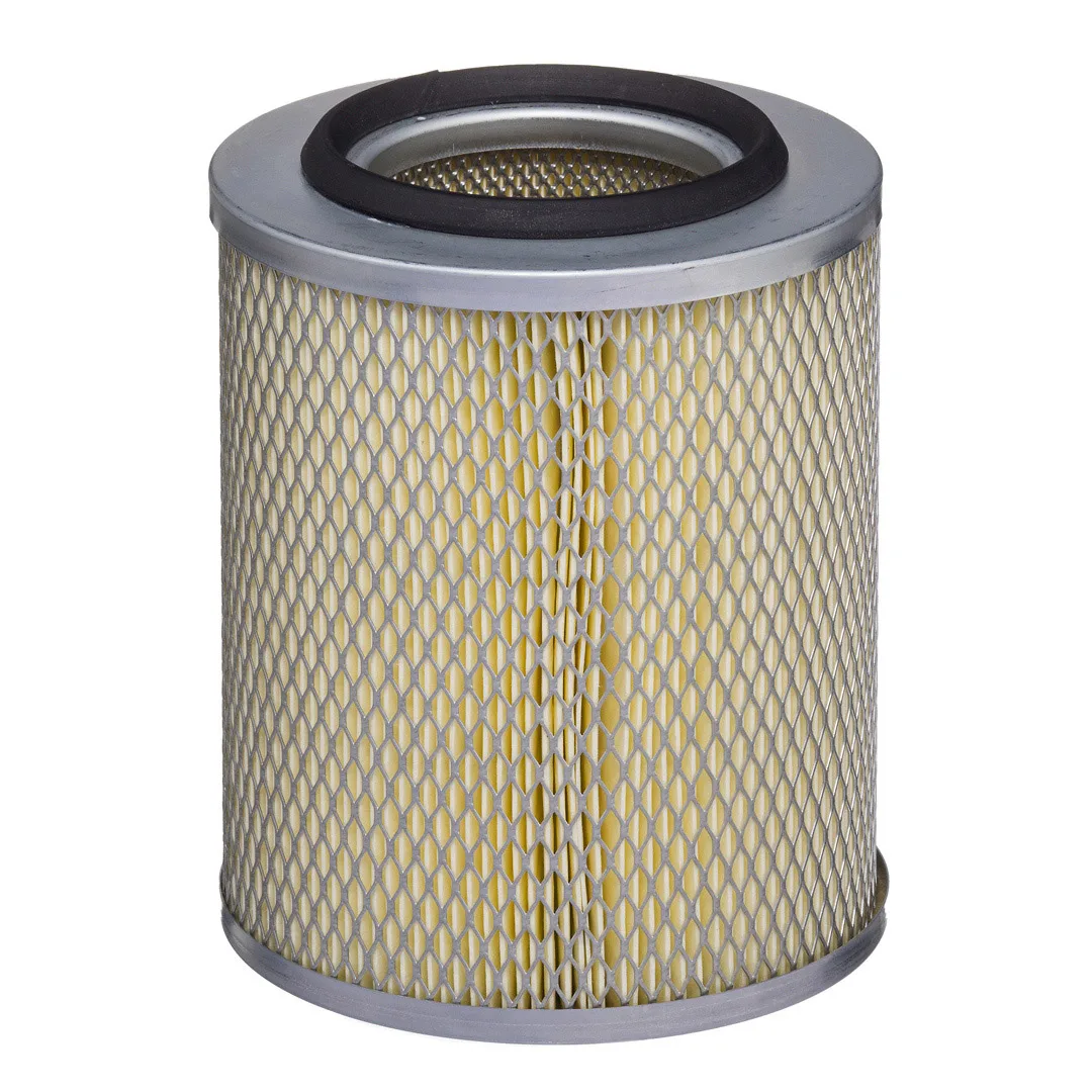 E277L01 Hengst