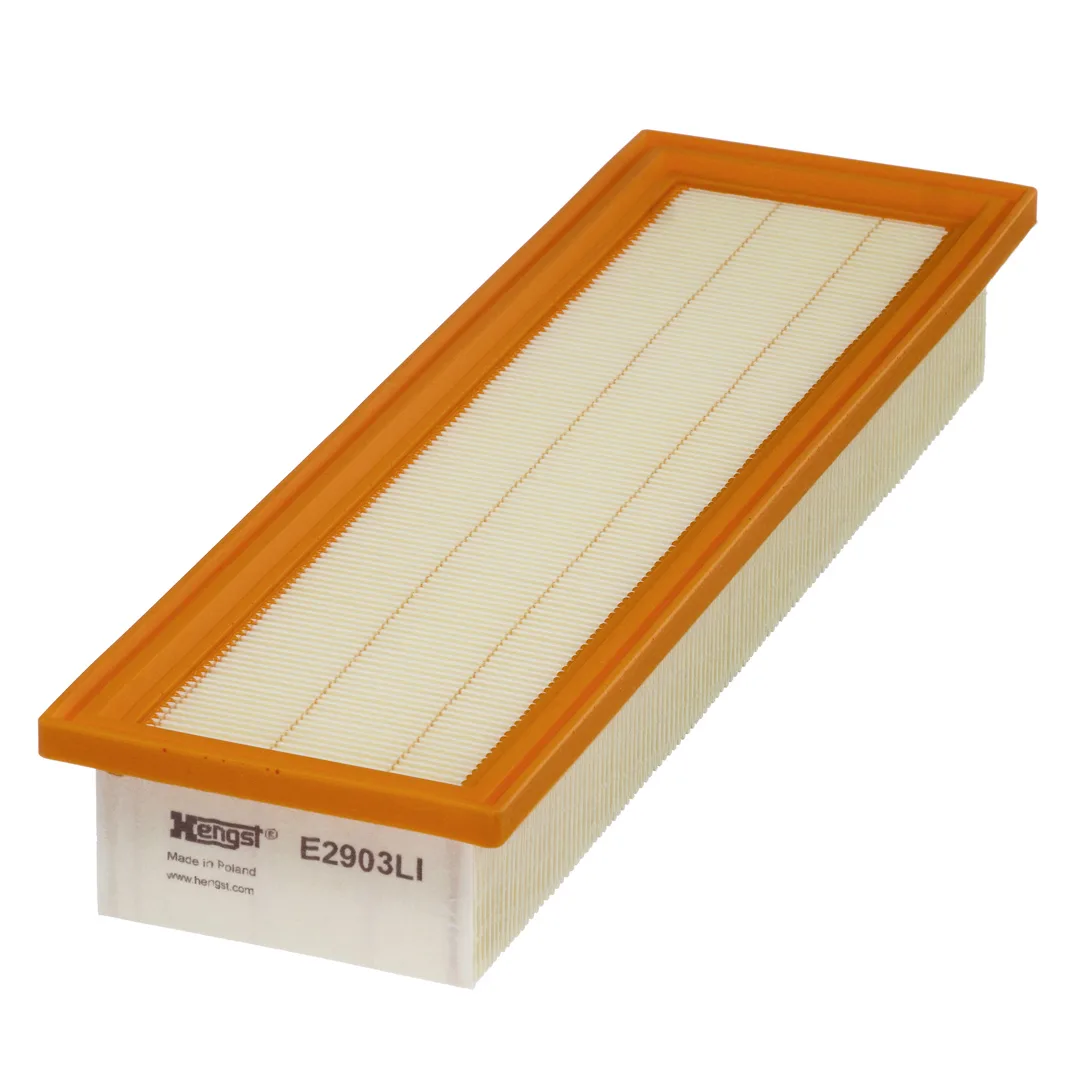 E2903LI Hengst