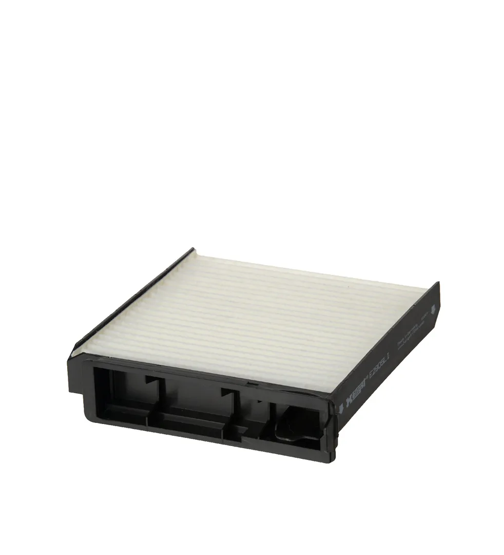 E2905LI Hengst