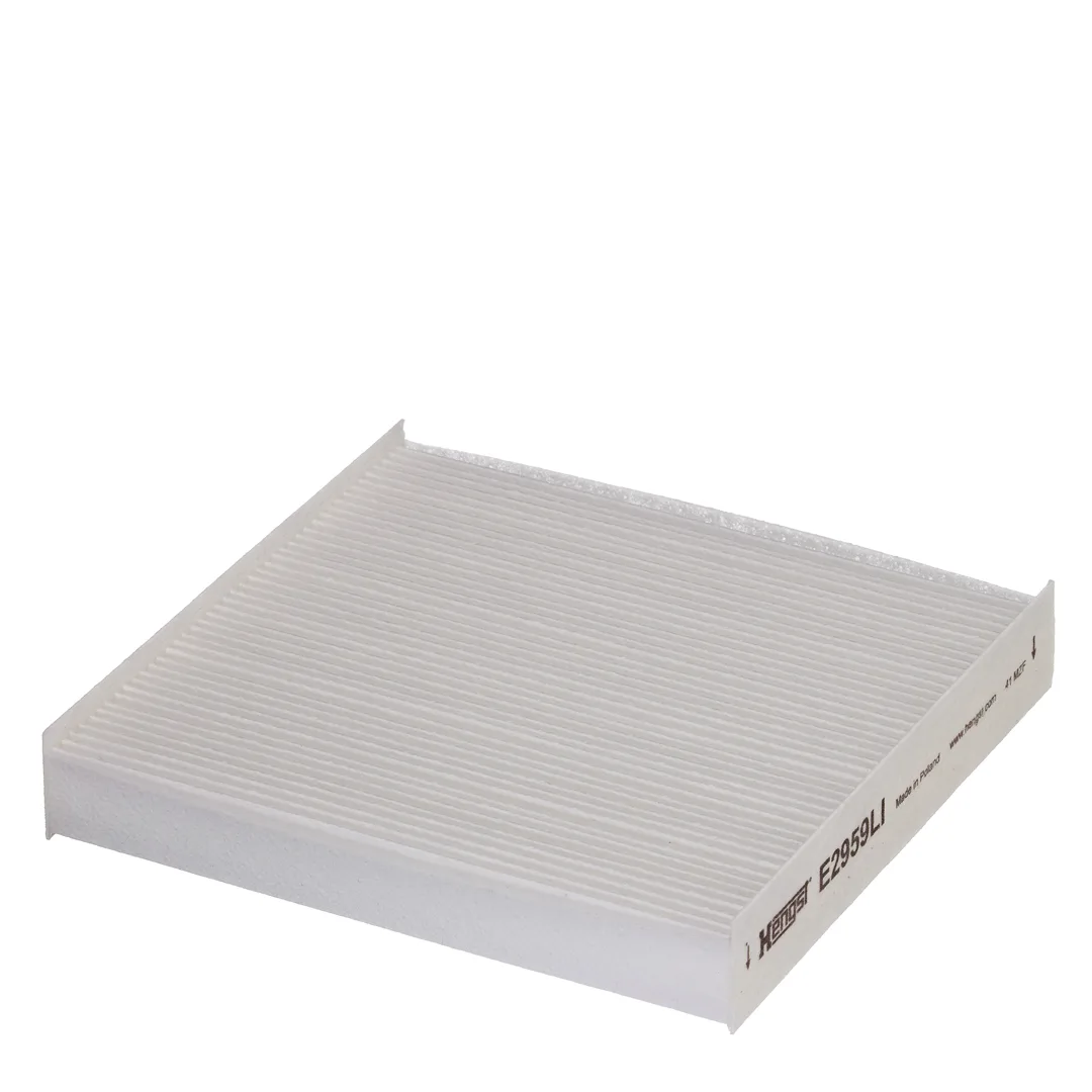 E2959LI Hengst