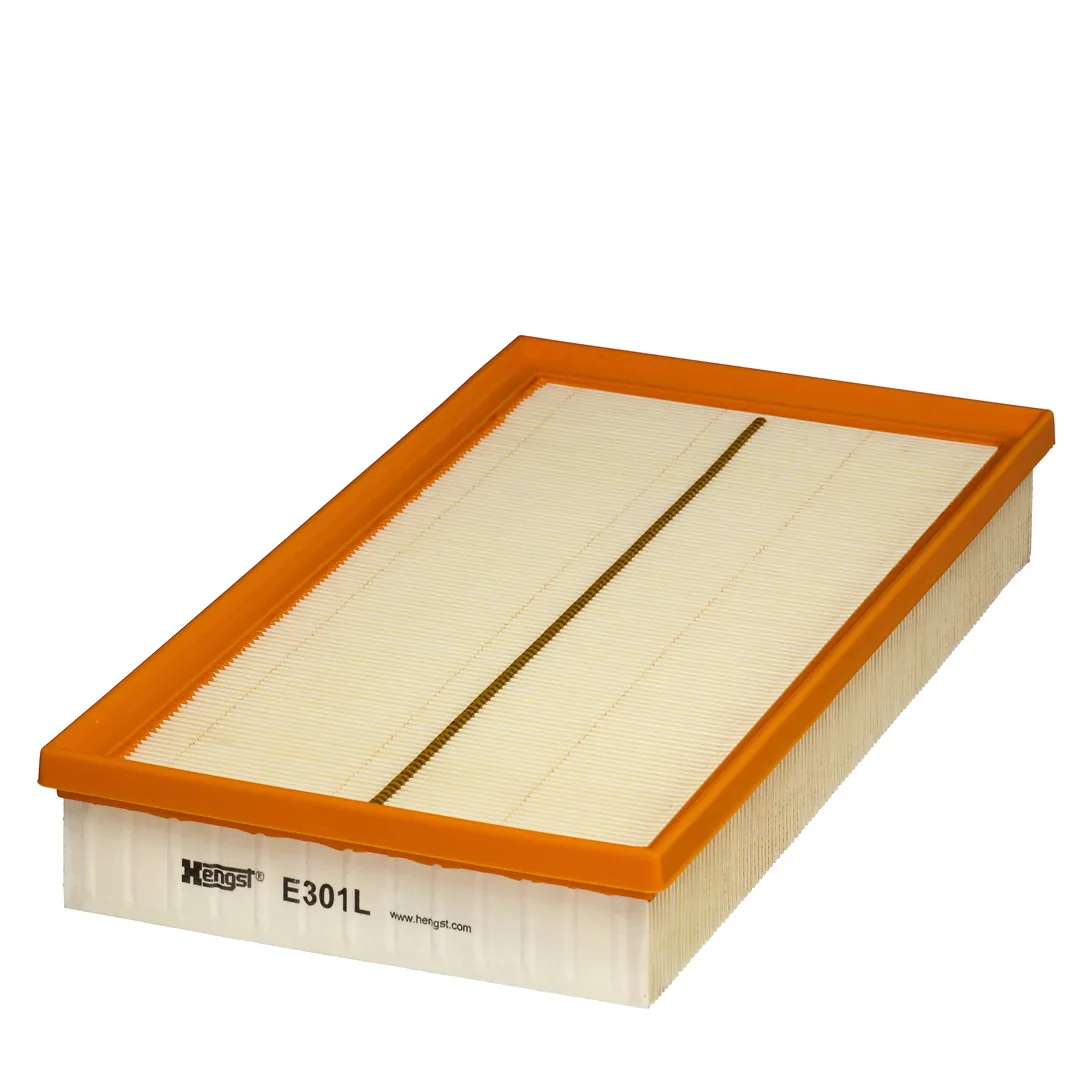 E301L Hengst