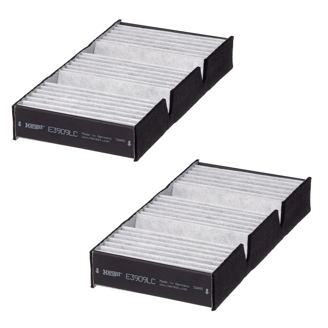 E3909LC-2 Hengst