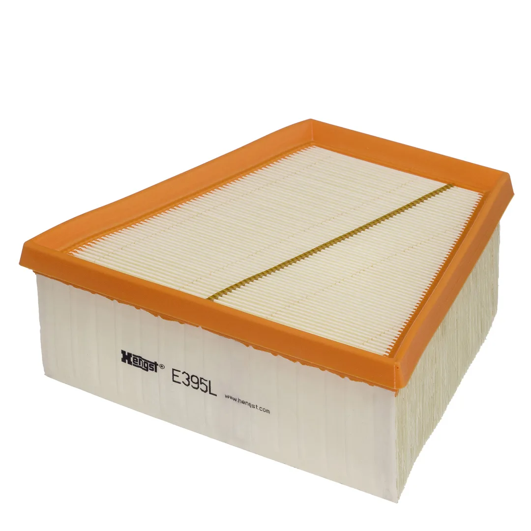 E395L Hengst