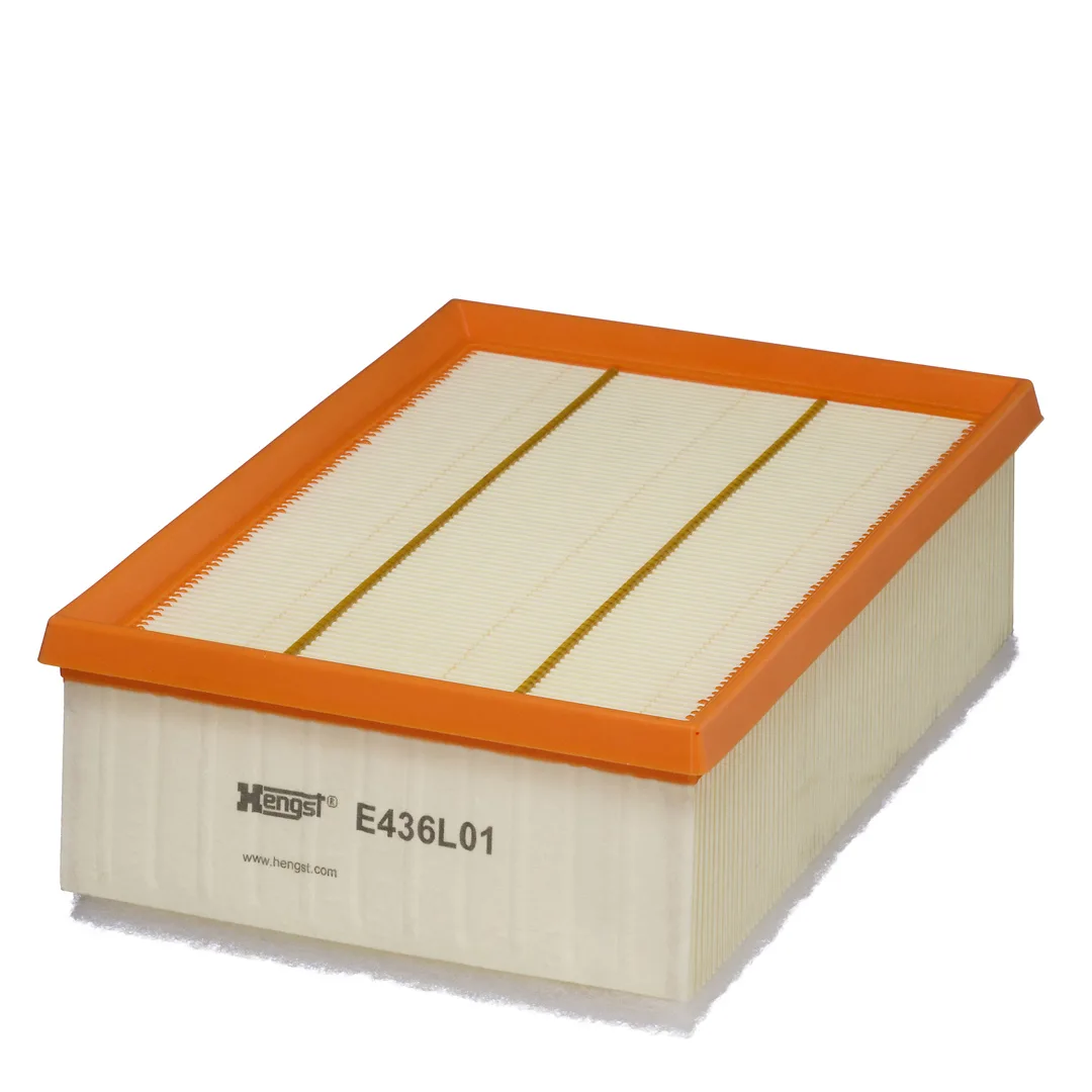 E436L01 Hengst