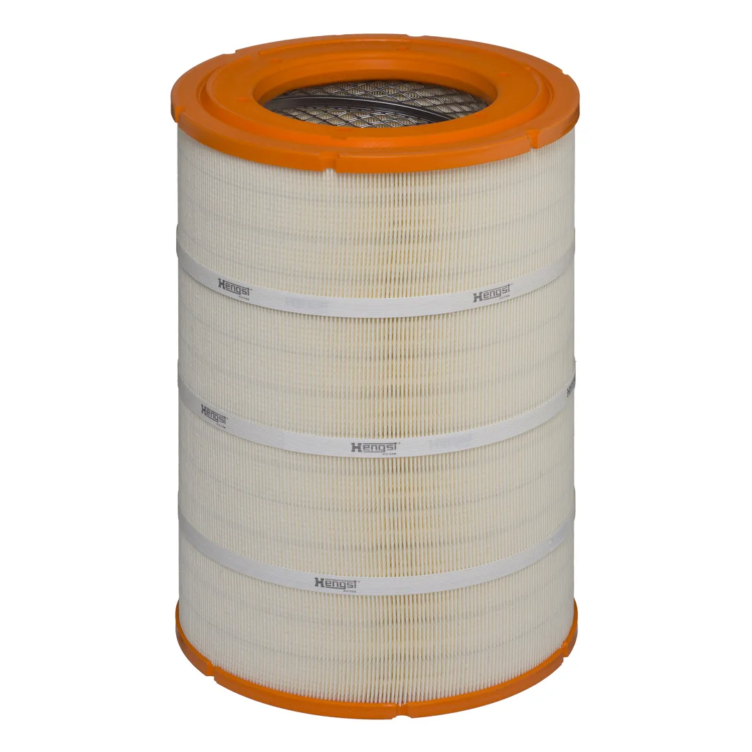 E452L01 Hengst