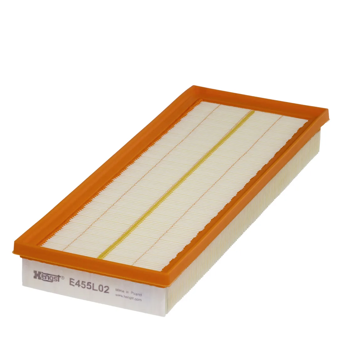 E455L02 Hengst