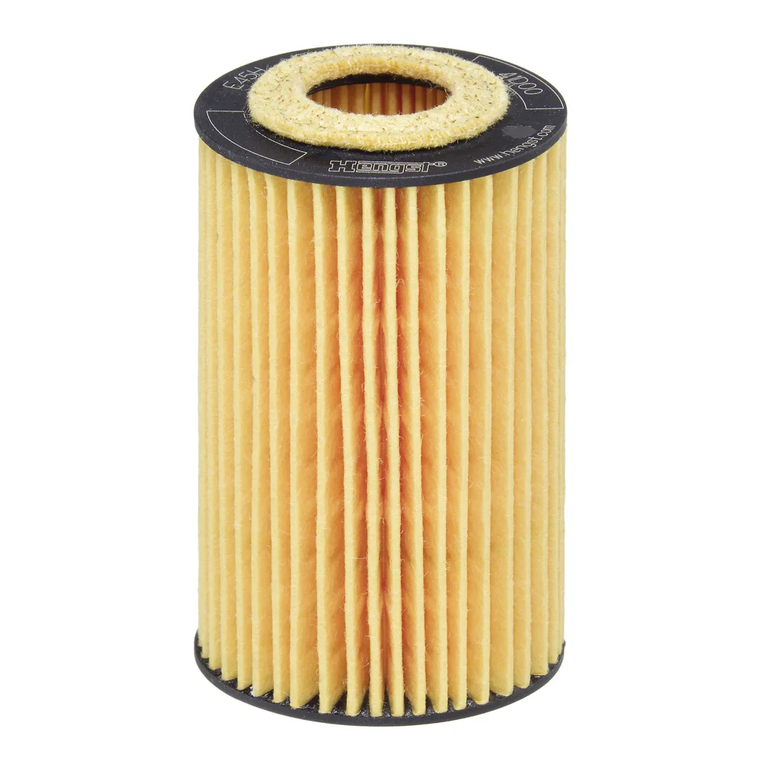 E45HD113 Hengst