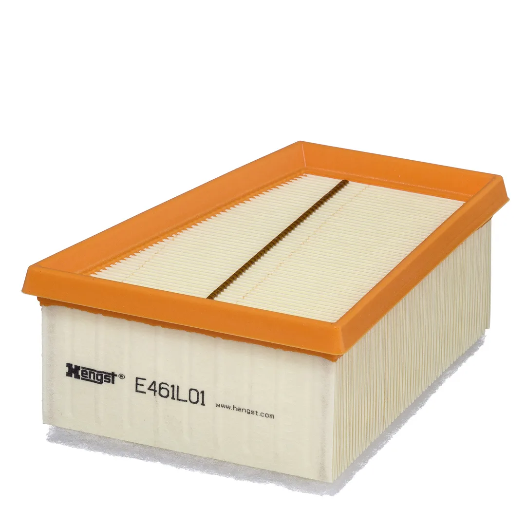 E461L01 Hengst