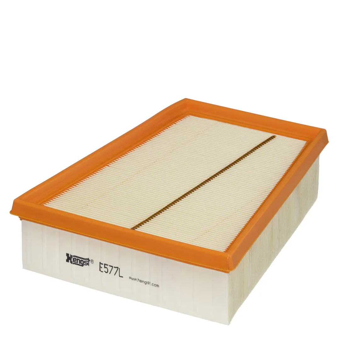 E577L Hengst