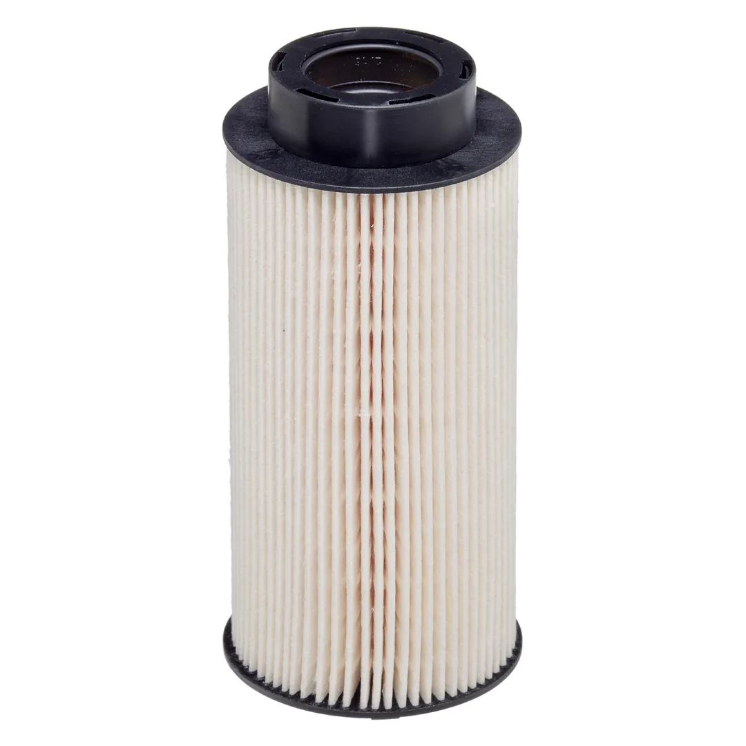 E57KPD73 Hengst