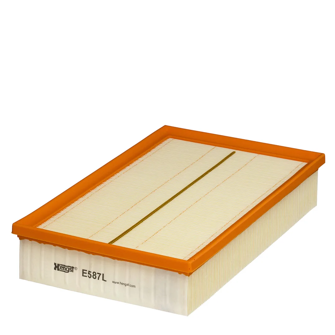 E587L Hengst