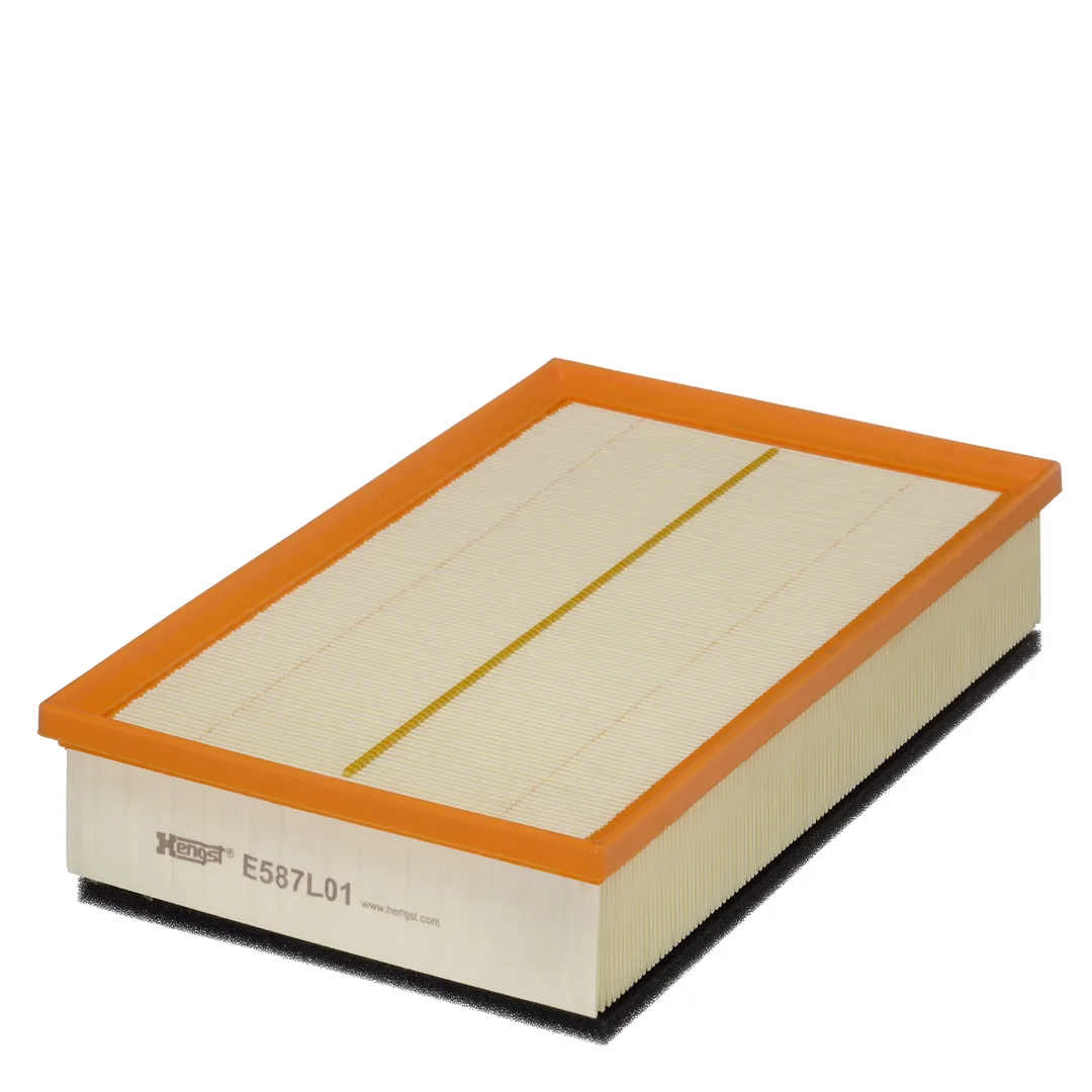 E587L01 Hengst