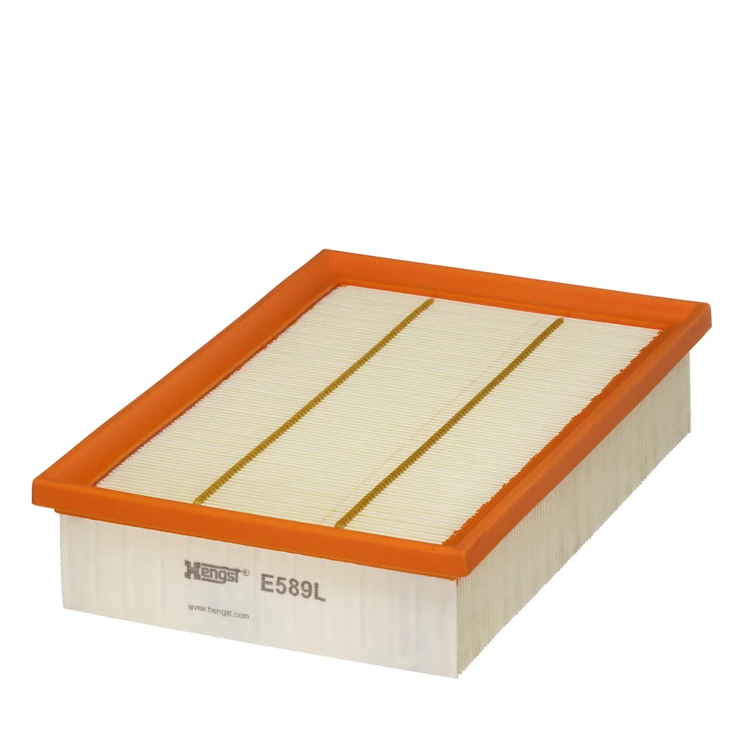 E589L Hengst