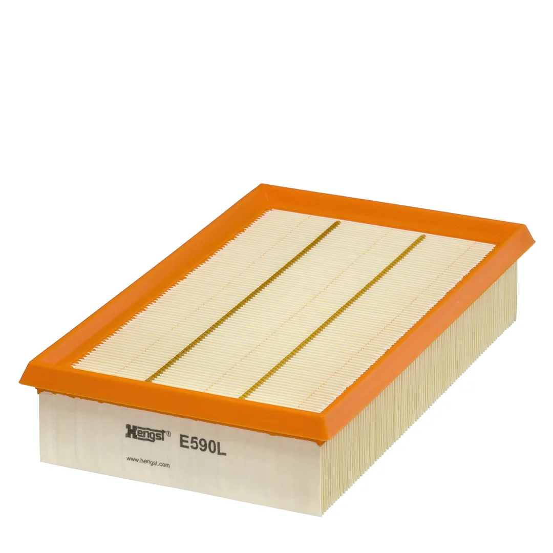 E590L Hengst