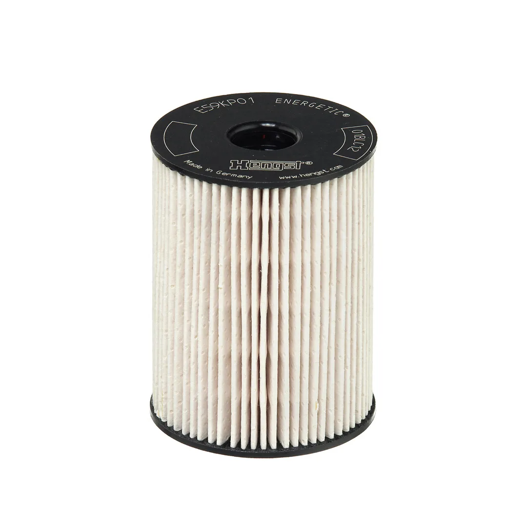 E59KP01D78 Hengst
