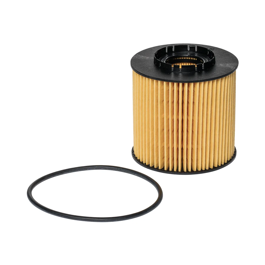 E64HD96 Hengst