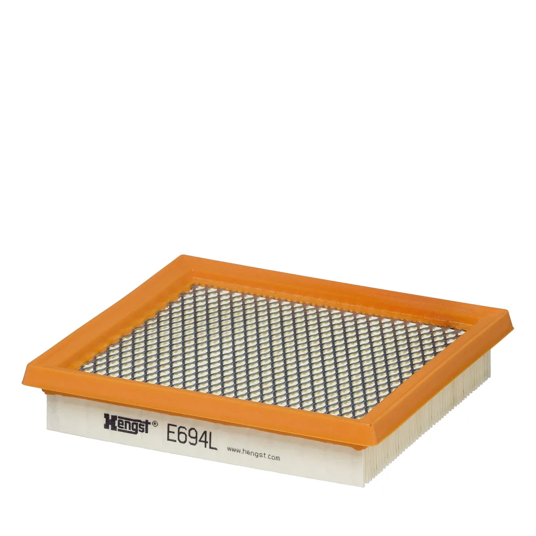 E694L Hengst