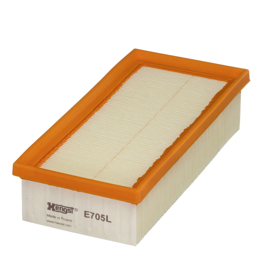 E705L Hengst