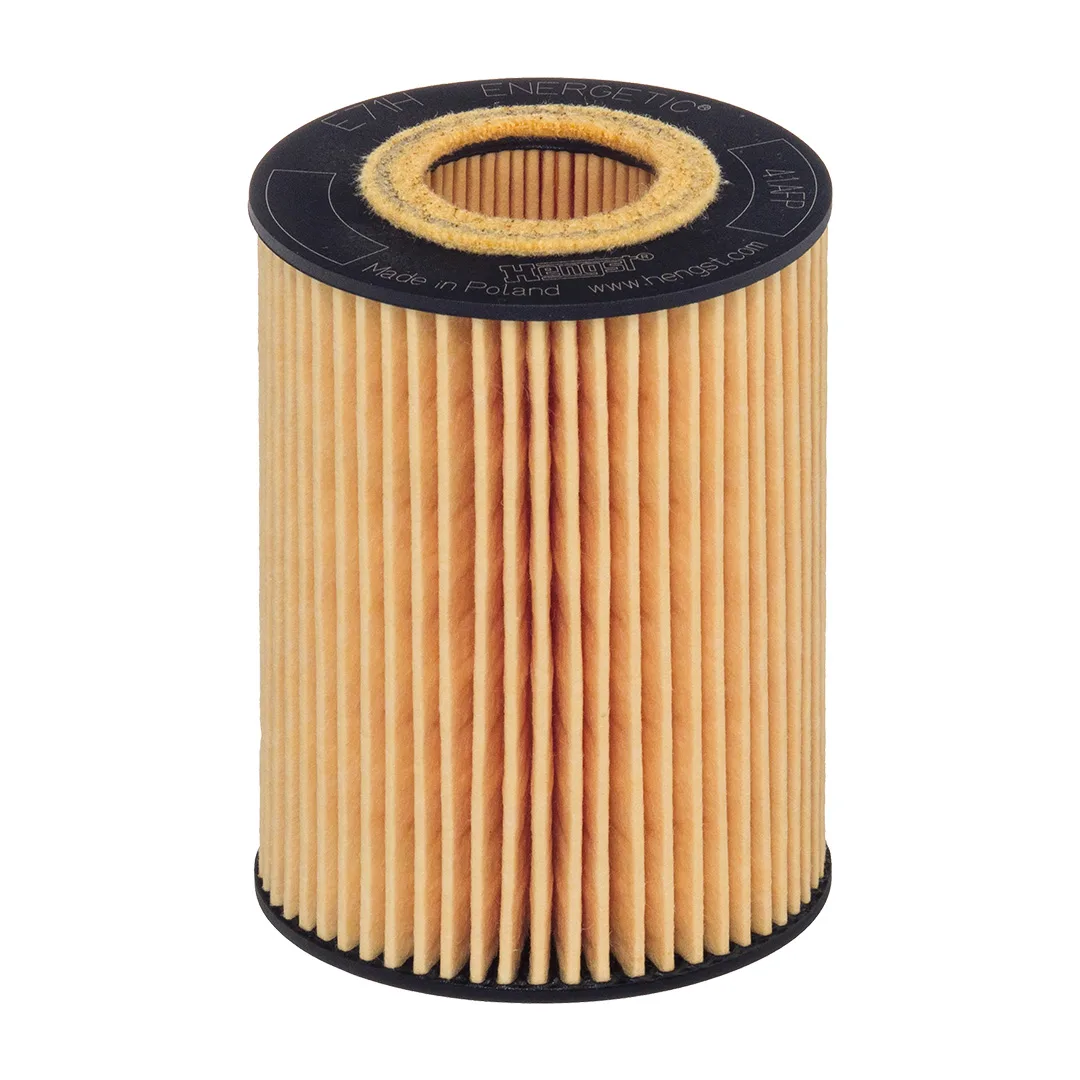 E71HD141 Hengst
