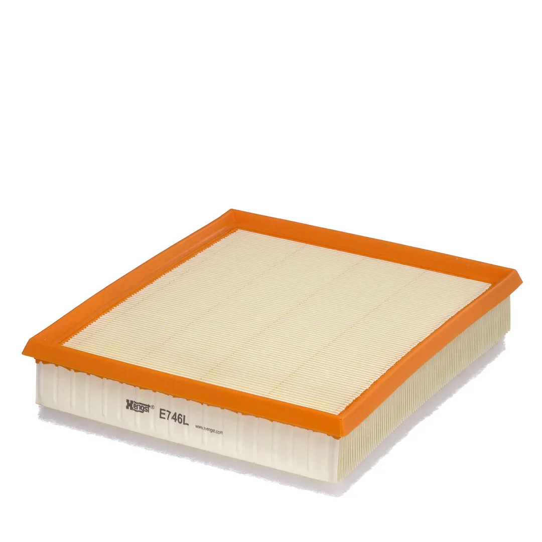 E746L Hengst