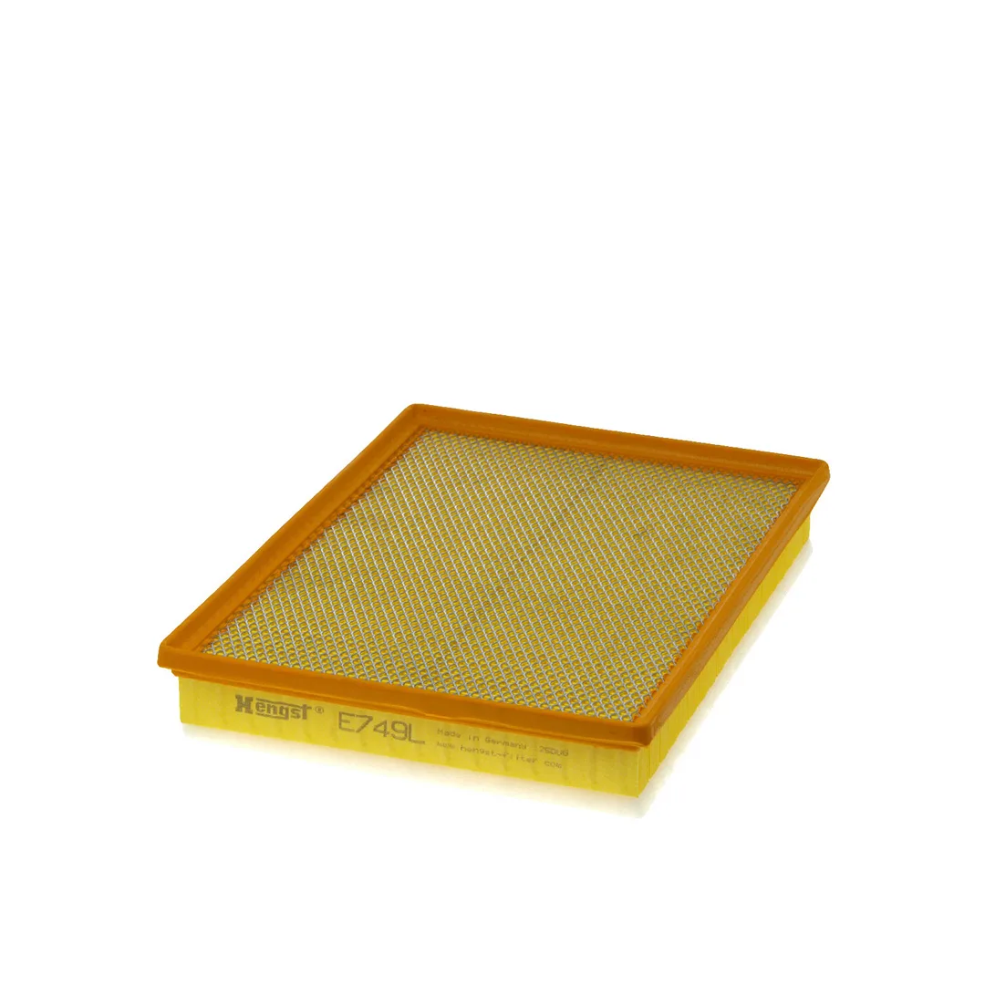E749L Hengst