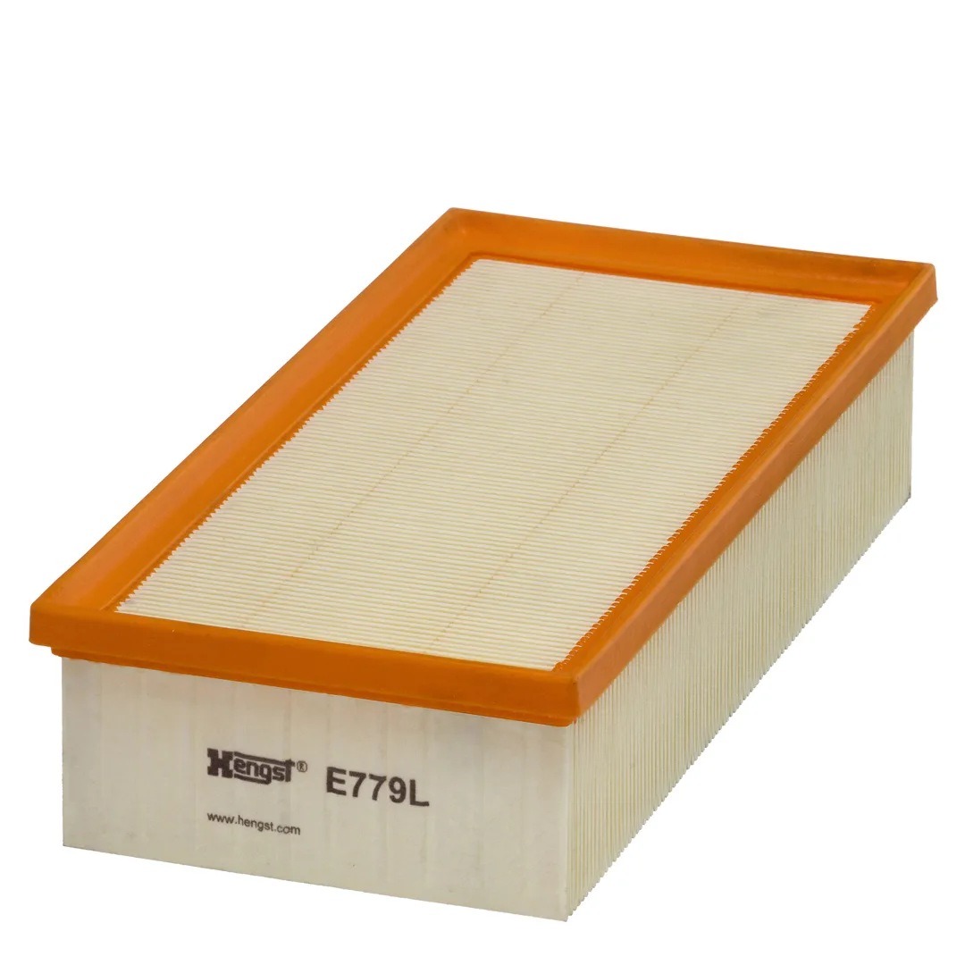 E779L Hengst