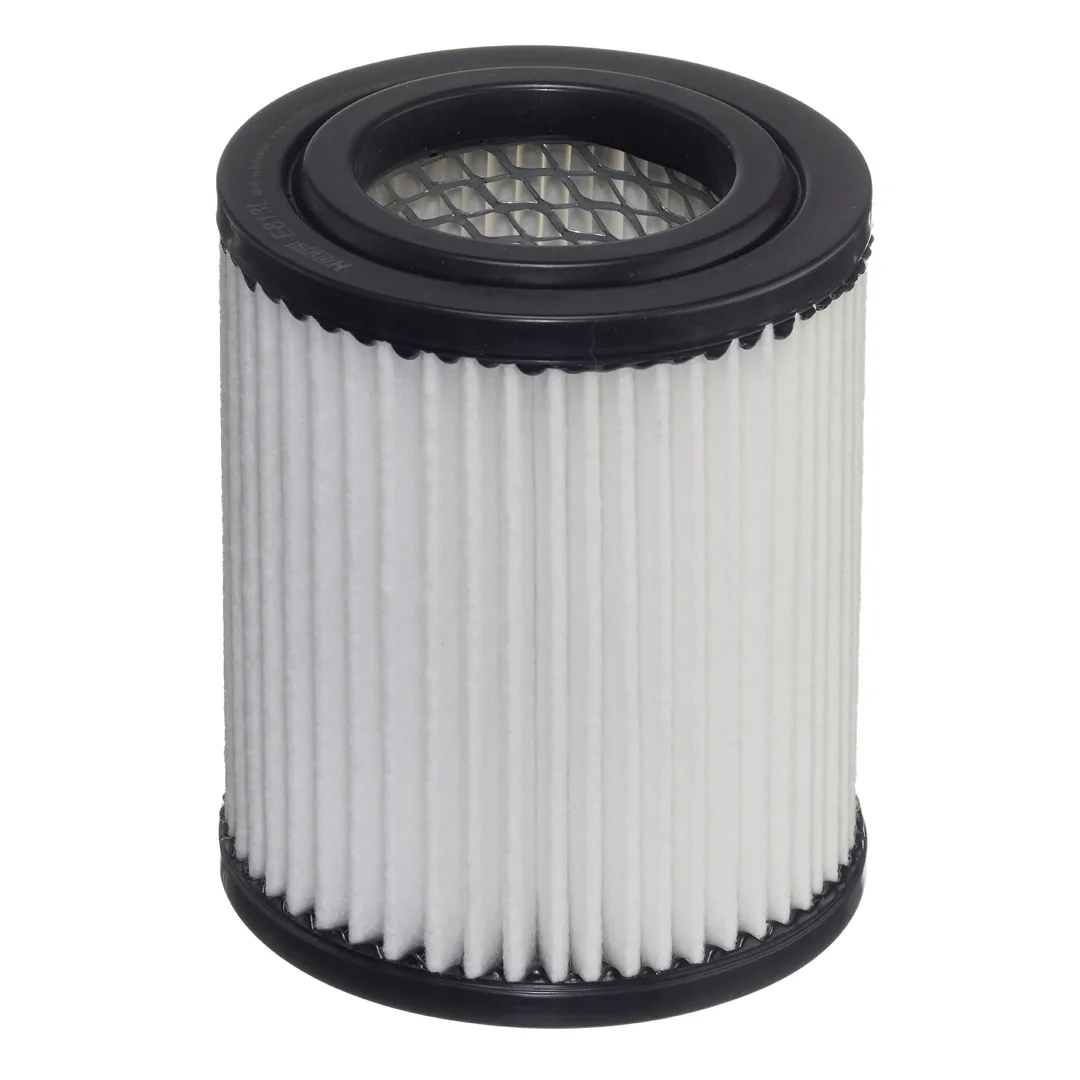 E813L Hengst