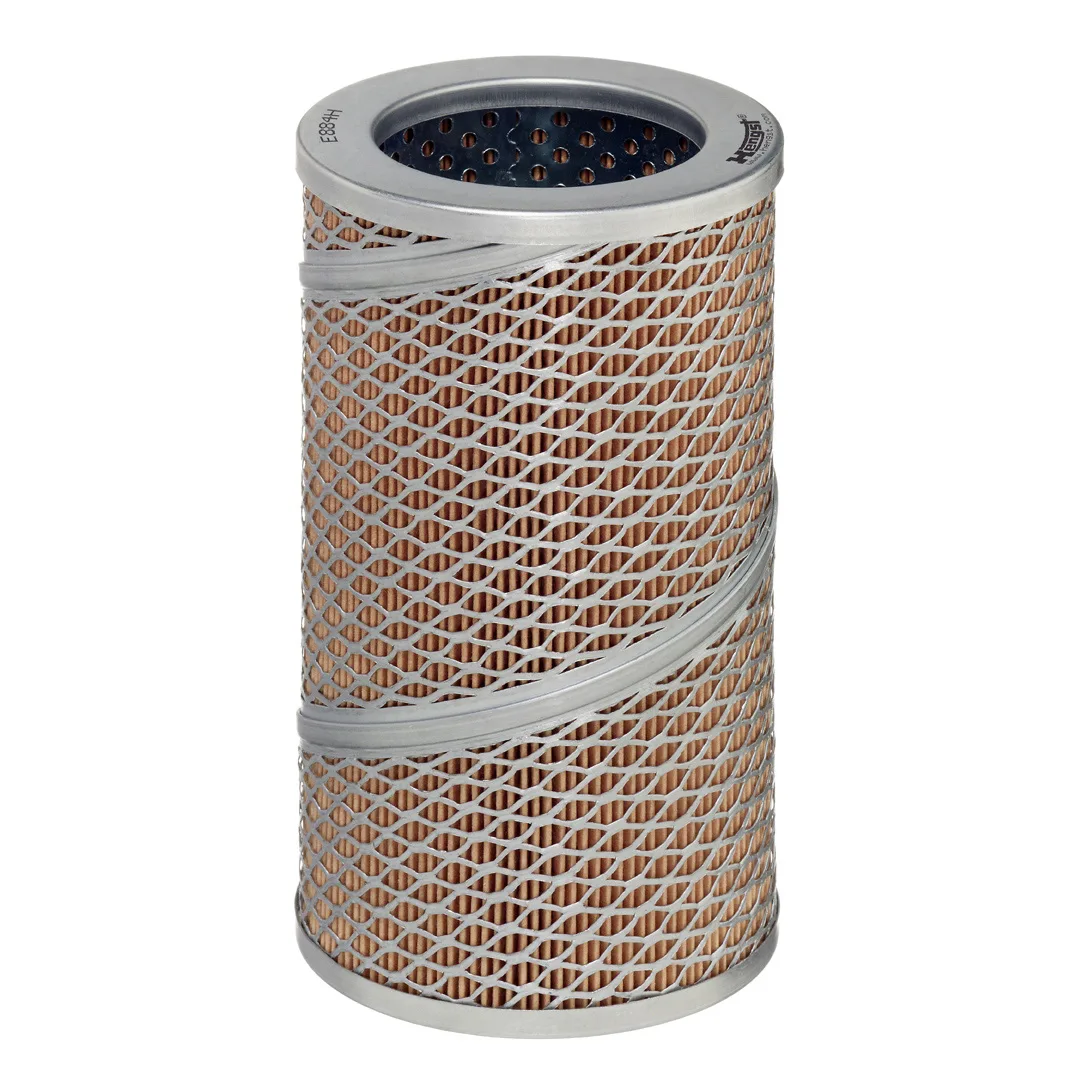 E884H Hengst