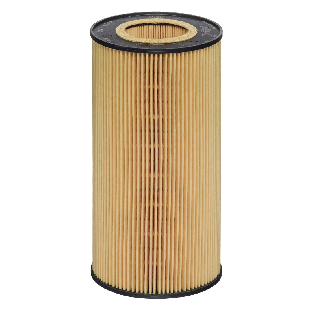 E89HD734 Hengst
