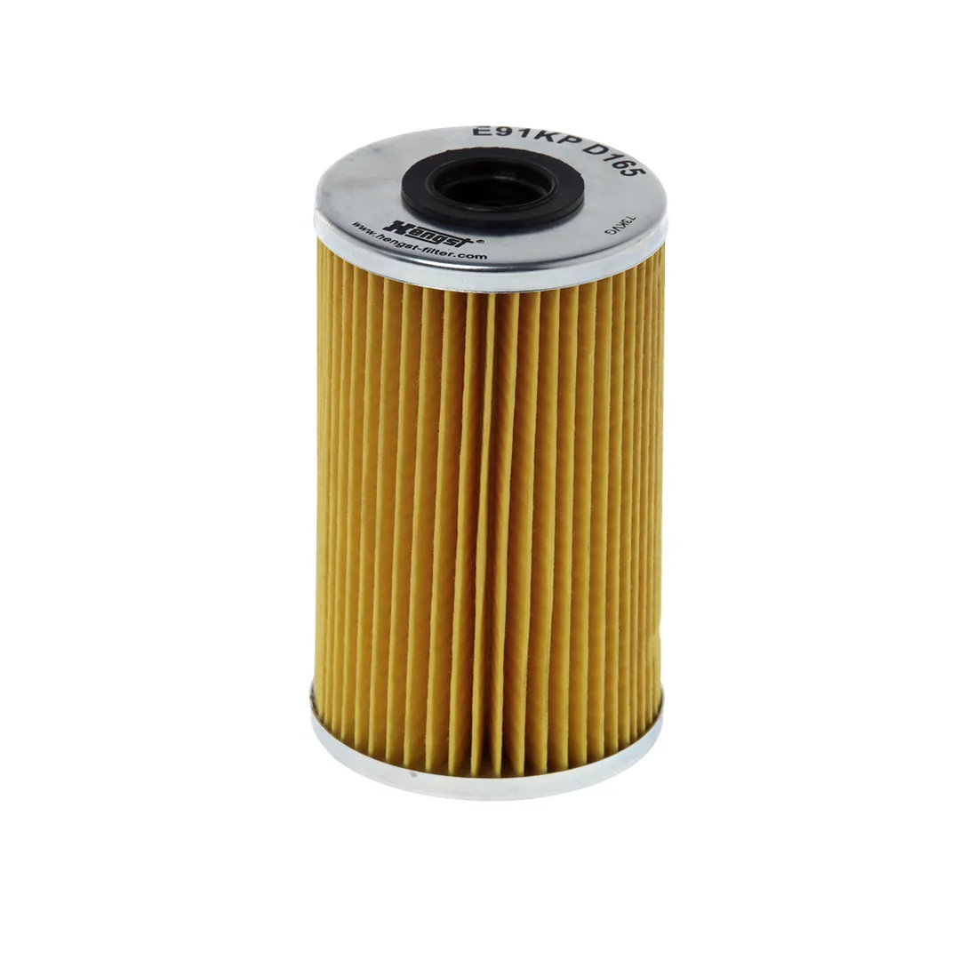 E91KPD165 Hengst