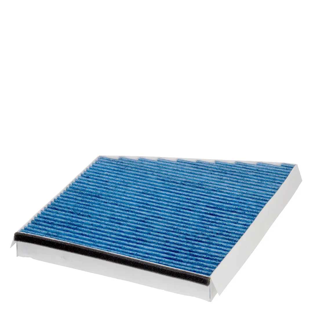 E989LB Hengst