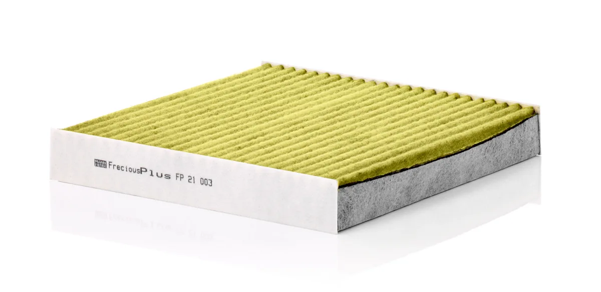 FP21003 Mann Filter