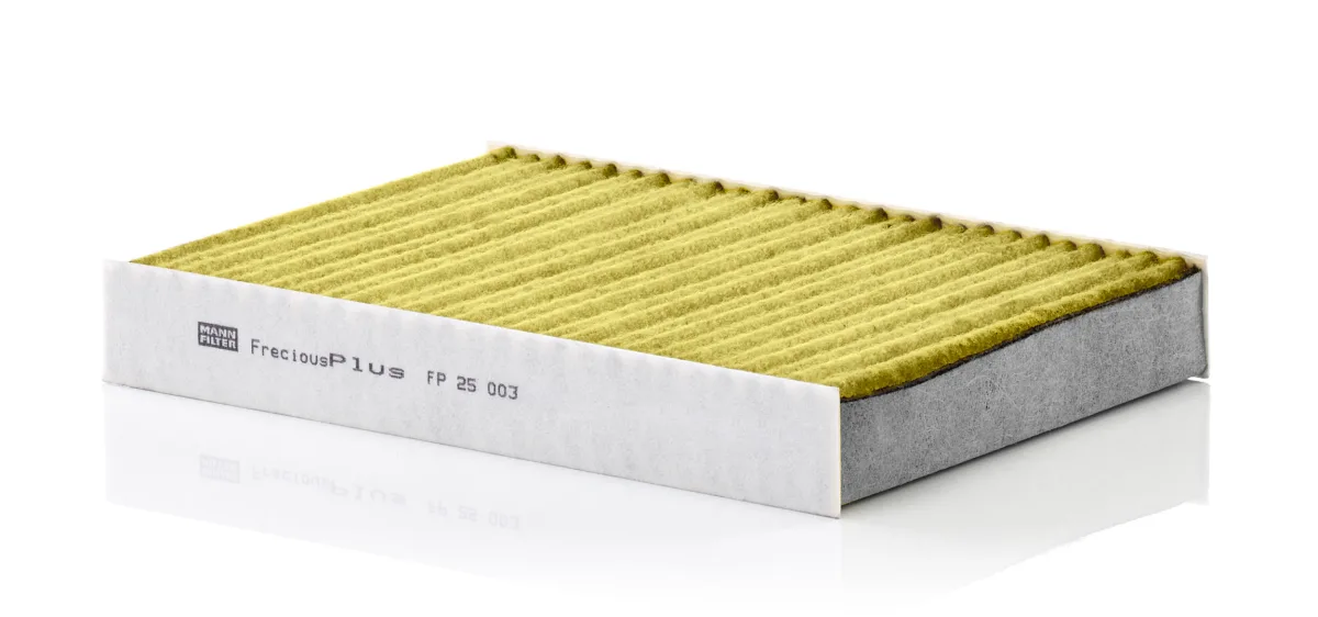 FP25003 Mann Filter