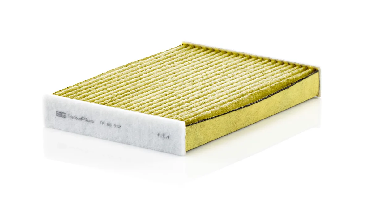 FP25012 Mann Filter