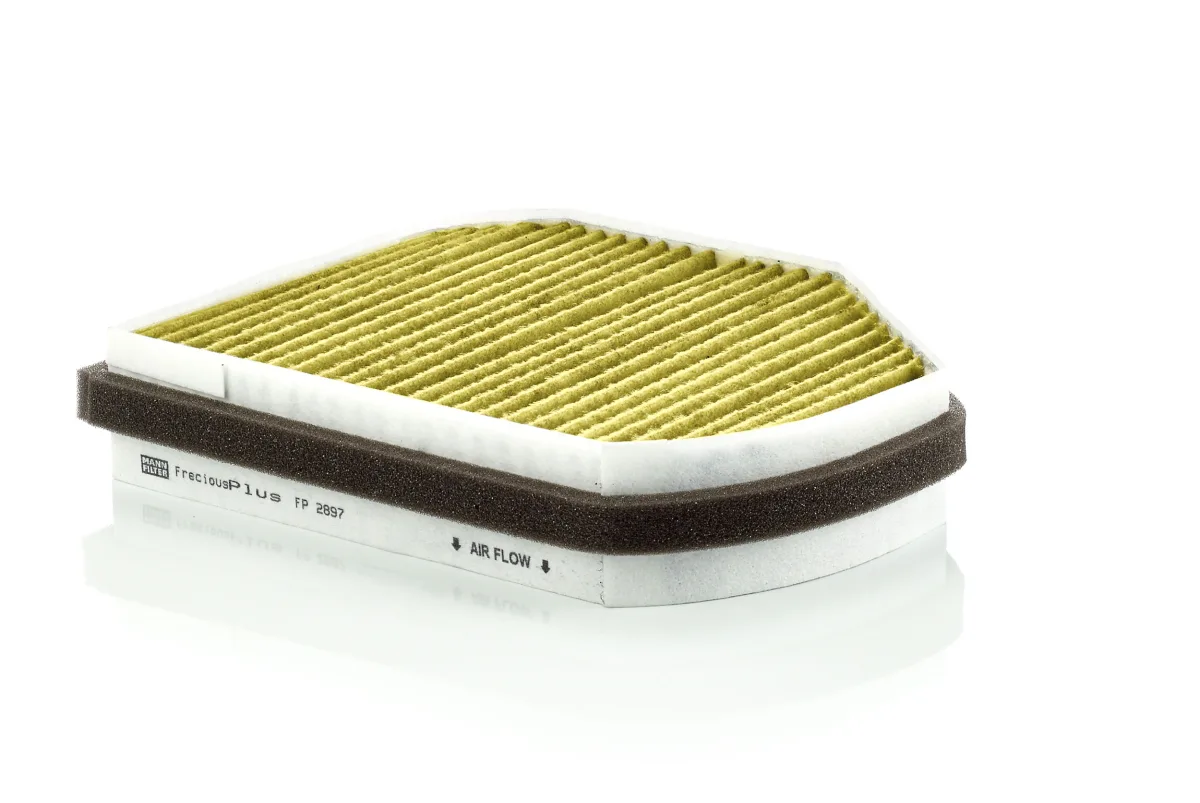FP2897 Mann Filter