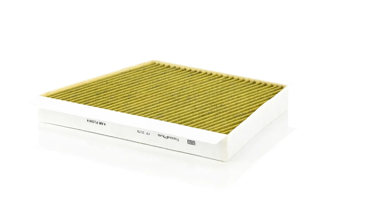 FP3172 Mann Filter