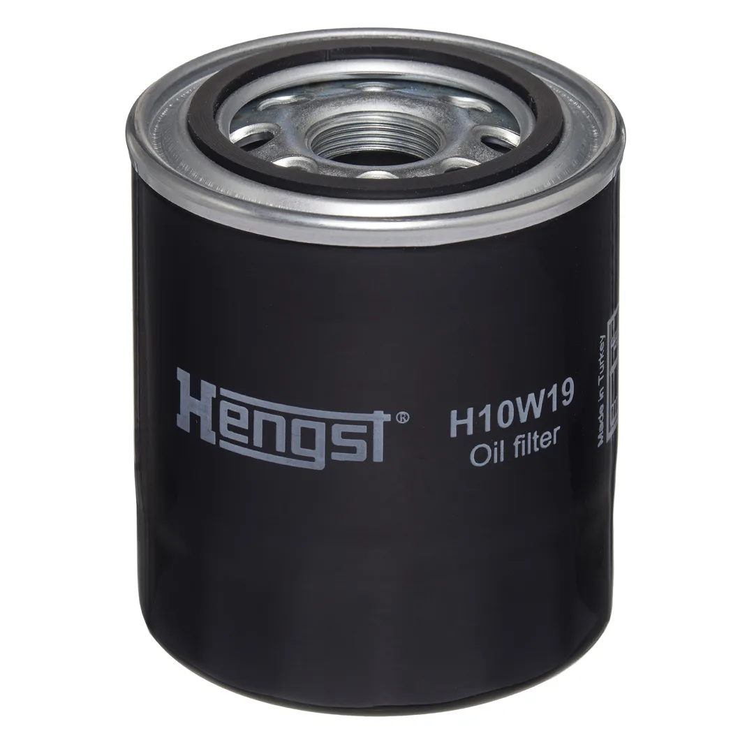 H10W19 Hengst
