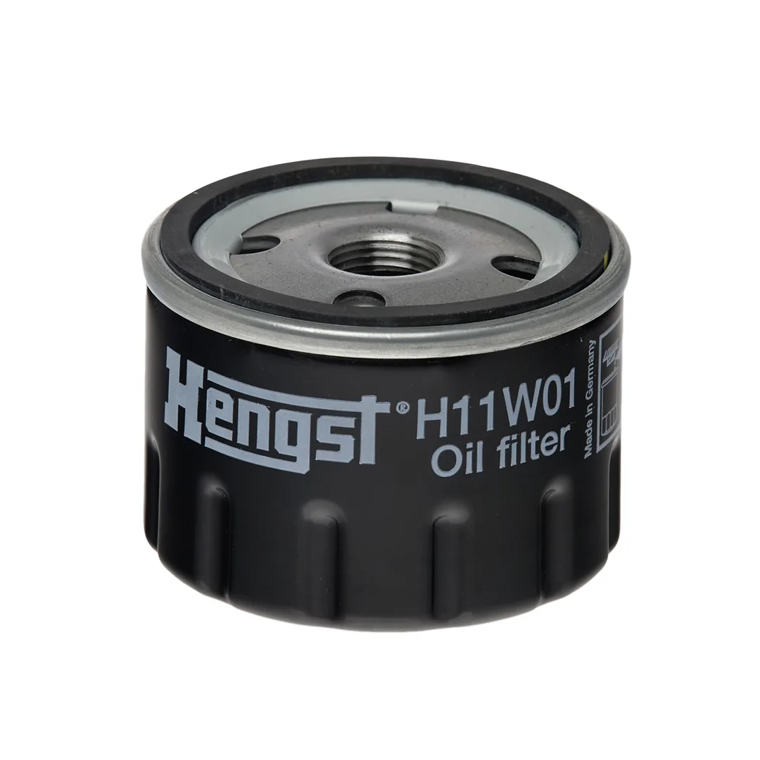 H11W01 Hengst