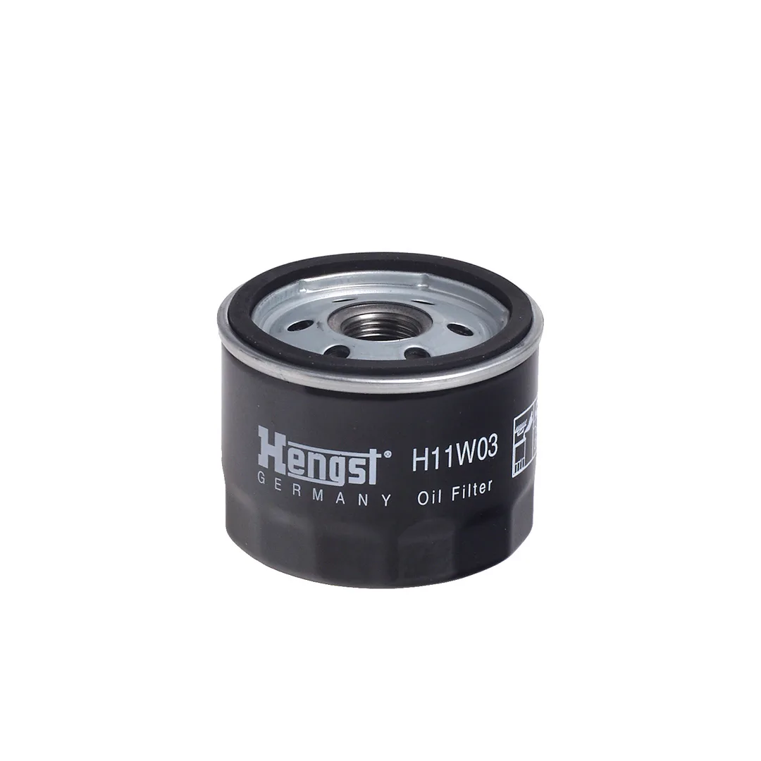 H11W03 Hengst