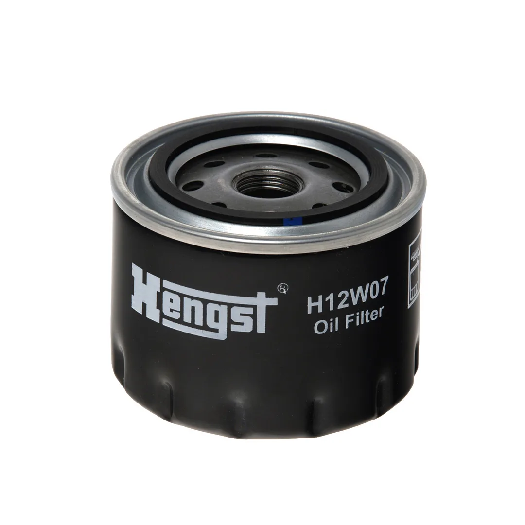 H12W07 Hengst