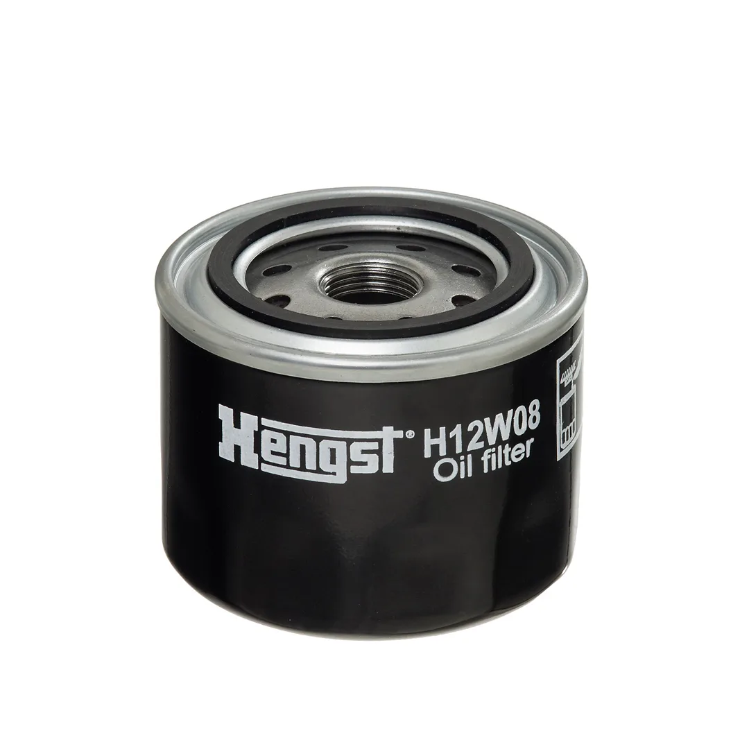 H12W08 Hengst