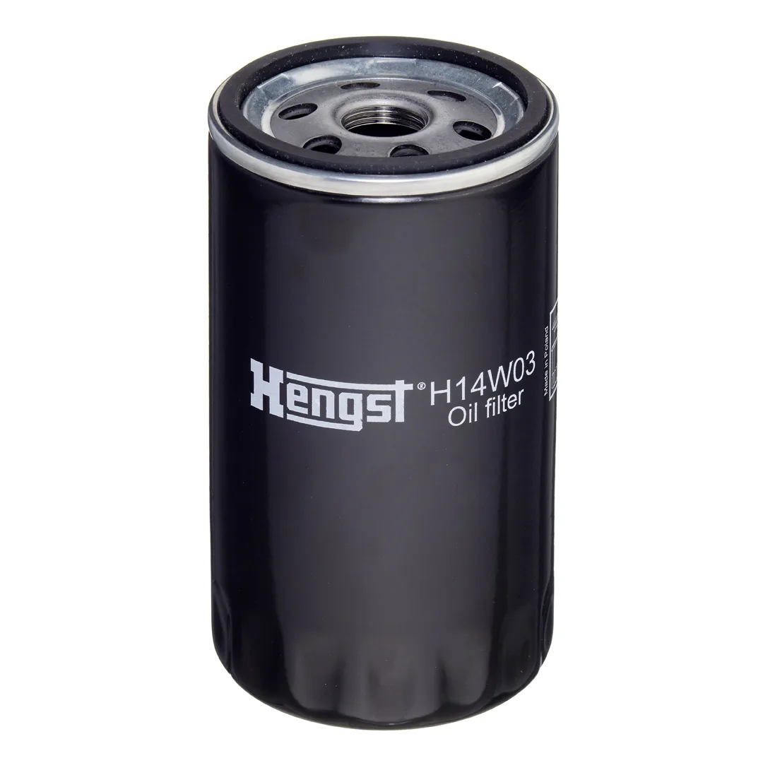 H14W03 Hengst