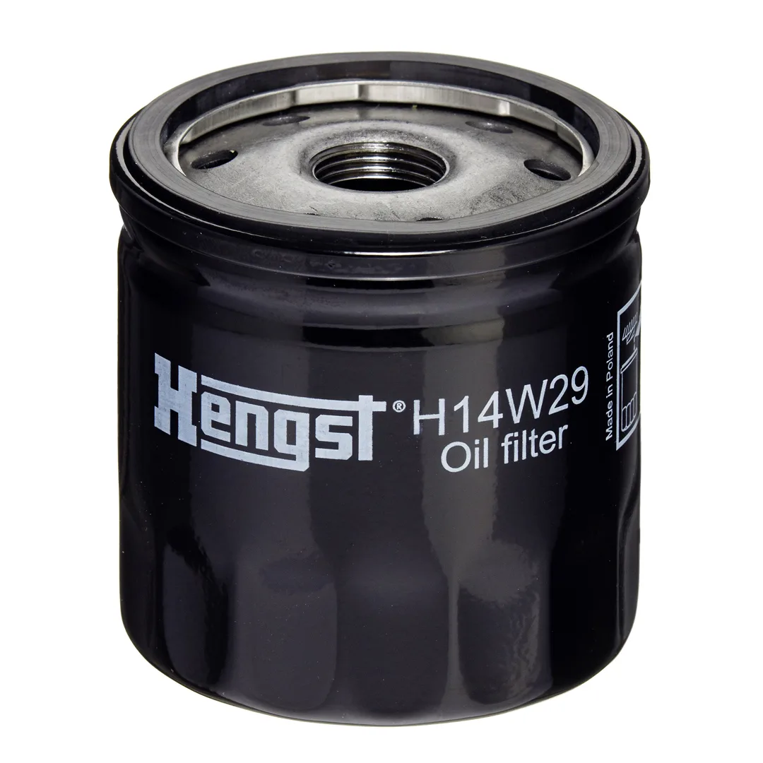 H14W29 Hengst