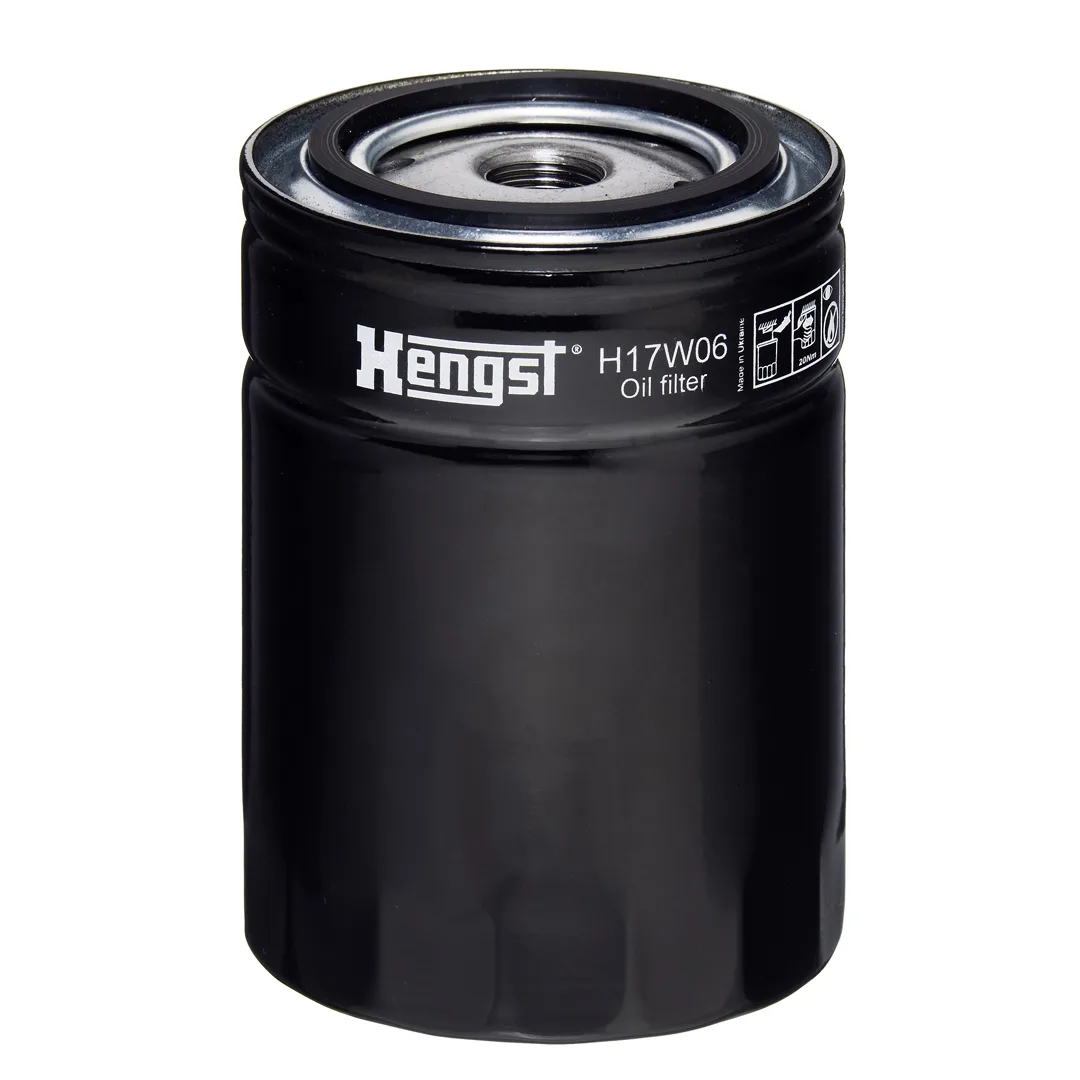 H17W06 Hengst