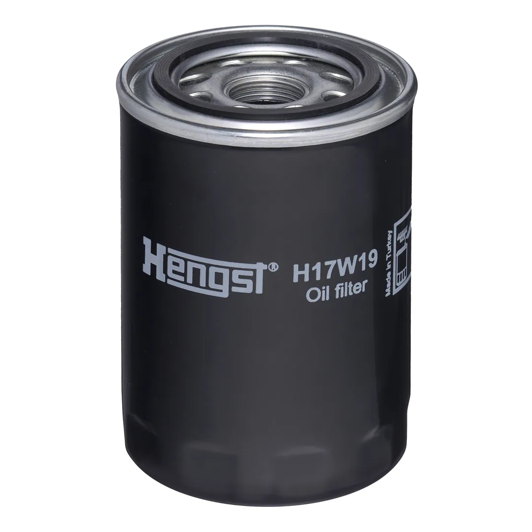 H17W19 Hengst