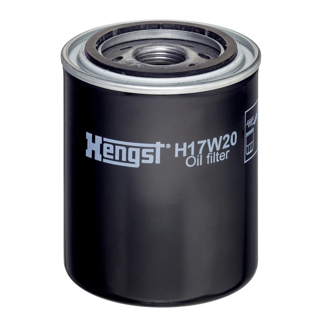 H17W20 Hengst