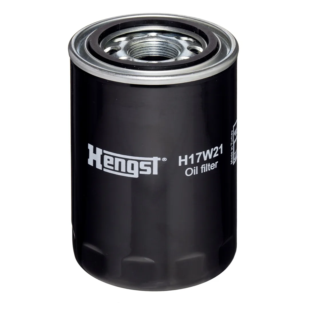 H17W21 Hengst