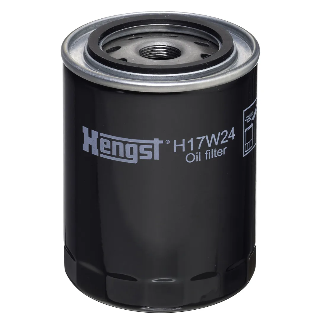 H17W24 Hengst